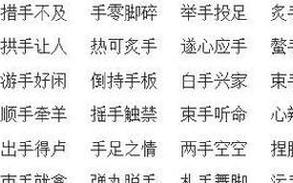 带手字的成语,带手的字