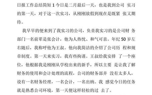 工作日报每日总结、日报工作总结100字
