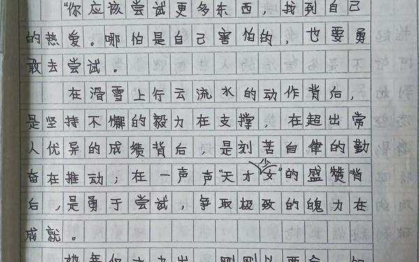 我最敬佩的人优秀作文,我最敬佩的陌生人800字作文初中
