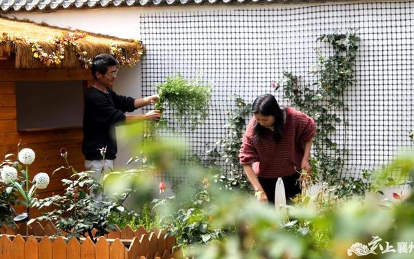 生在鸡家湾;田园生活十大网红