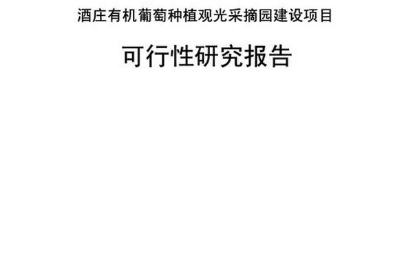 写项目可行性研究报告、项目可行性报告范文模板