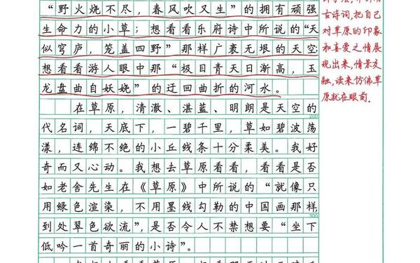 6年级下册语文第4单元作文、六下第四单元作文300字