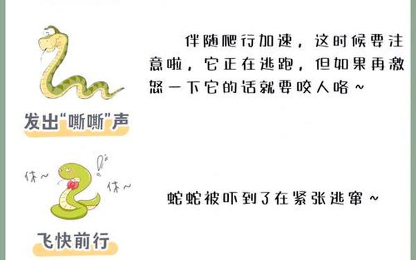 捕蛇者说教案-捕蛇者说公开课教案
