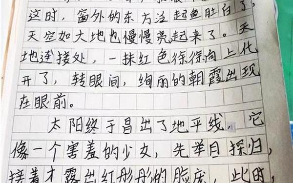 摘抄日记100字大全30篇可抄,100字以内的日记大全