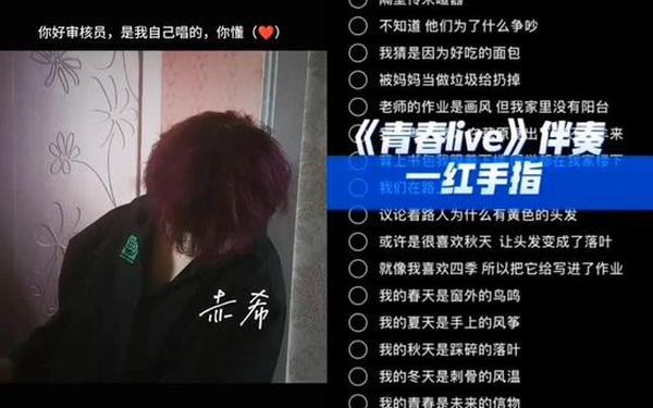 青春是经不起挥霍的,我们虚度了的青春歌词
