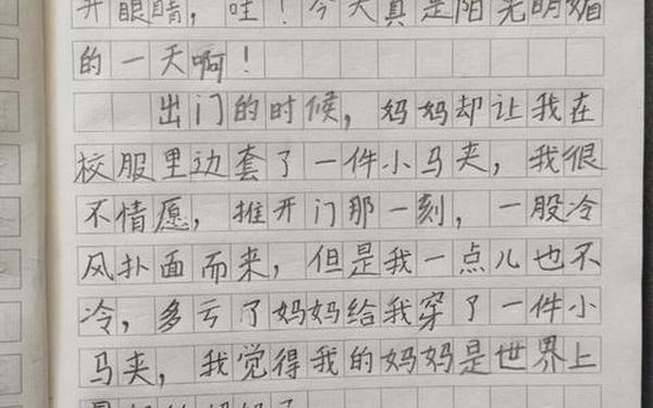 二年级最好的日记-二年级日记100字60篇