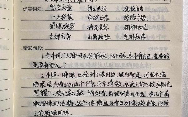 摘录式读书笔记—读书笔记摘抄及感悟格式