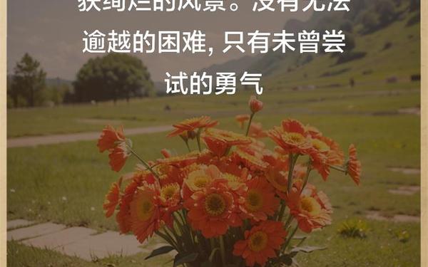 心灵鸡汤正能量短句(励志鸡汤正能量短句)