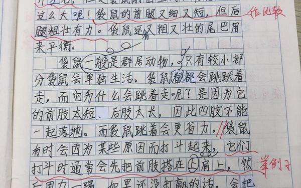 五年级说明文 科普说明文摘抄