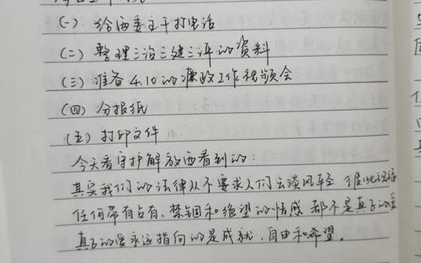 xierizhi_工作日志简短