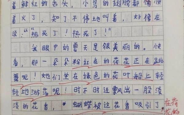 夏天来了作文—描写夏天的看图写话二年级