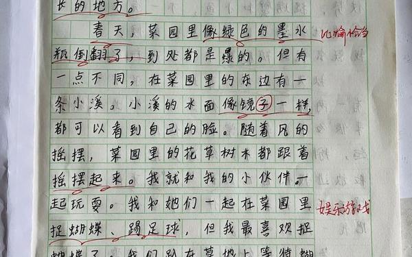 乐趣的作文、作文《我的乐园》免费