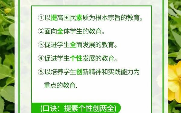 小学生素质教育 综合素质三观必背2025