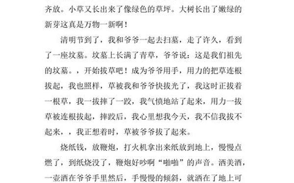 清明节日记300字—关于清明节的日记简短