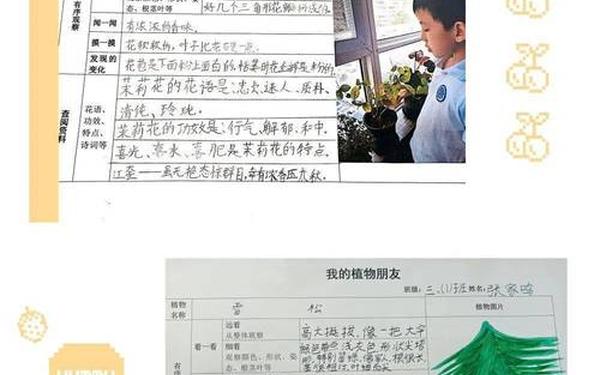 学生社会实践活动内容;生活实践活动内容怎么写