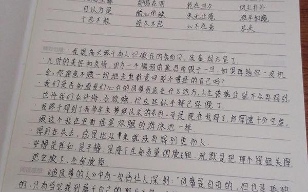 《做温暖的教育者》读书心得—《追风筝的人》读书心得