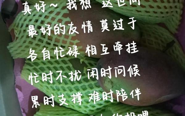 不负遇见友情句子 暖心的友情句子简短