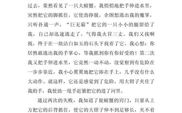 五年级优秀作文500字,五年级500作文免费可抄