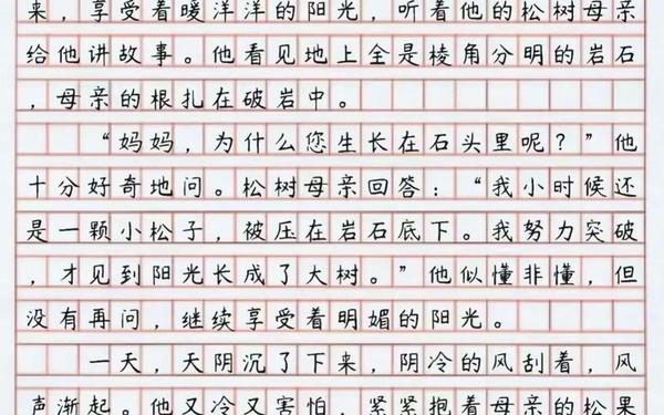 小学生作文范文100篇,《满分作文》