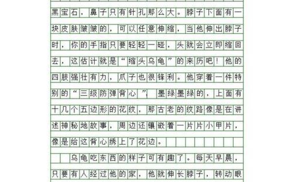 写小动物400字优秀作文(写一种动物作文400字左右)