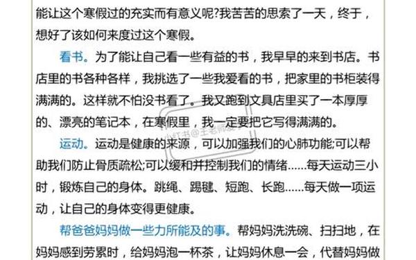 假期计划作文(寒假计划作文300字)