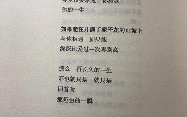 席慕容最著名的十首诗;席慕蓉《绿》原文