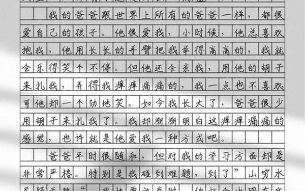 小学生作文范文100篇,《满分作文》