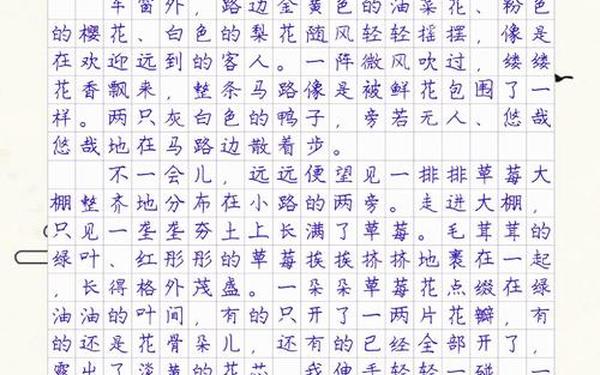 小学生优秀日记大全—10篇优秀日记