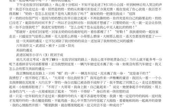 最美丽的相遇;最美丽的遇见作文600字