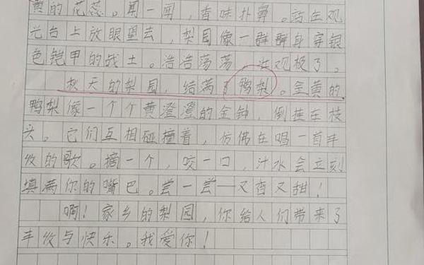 描写家乡的美景的作文_一句夸自己家乡的话