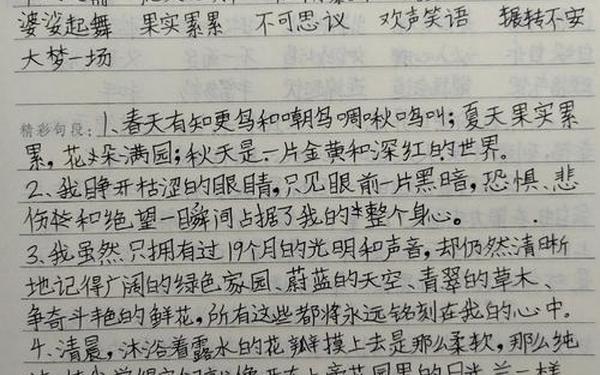 假如给我三天光明读书笔记摘抄_《人生》读书笔记摘抄及感悟