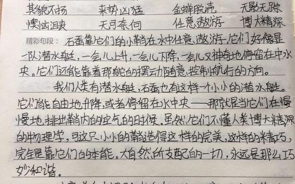 《昆虫记》读书笔记,昆虫记的主要内容概括50字