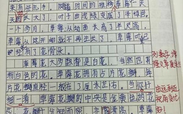 介绍一种事物五年级作文-用说明方法介绍一种物品