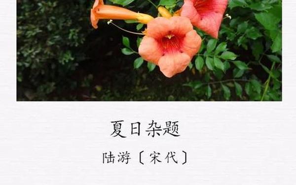 夏天的古诗30首 夏的诗句古诗