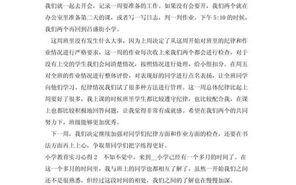 小学教育论文5000字,小学教育专业实践总结报告