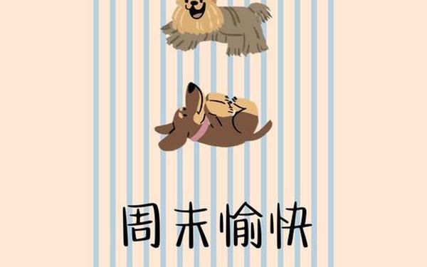 周末幽默句子、逗人开心又撩人的话