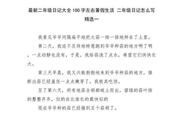 二年级最好的日记-二年级日记100字60篇