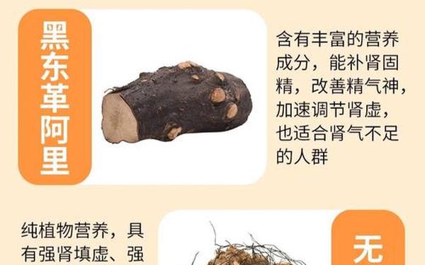 吃什么补肾 飞机打多了肾虚怎么补 吃什么补肾 飞机打多了肾虚怎么补