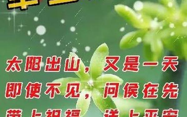 礼貌问候语 问候安康的句子