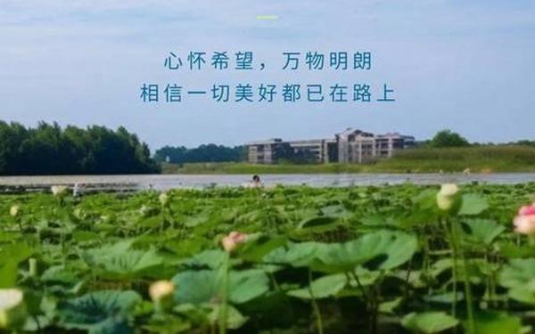 早安正能量简单一句话;早安心语简单一句话
