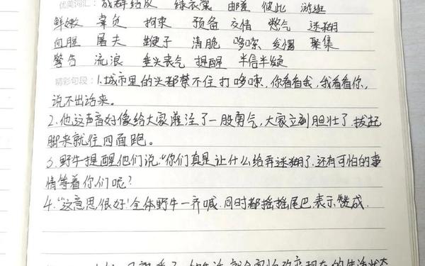 小学生读书笔记—一二三年级读书笔记 小学生读书笔记—一二三年级读书笔记