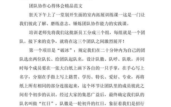 团队工作总结(团队协作的总结与感悟) 团队工作总结(团队协作的总结与感悟)