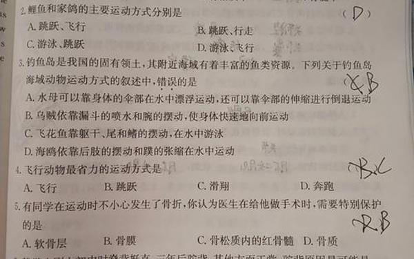 初二寒假作业—2025年初二寒假作业答案