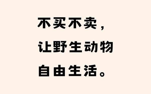 保护动物的广告_保护动物的金句八个字