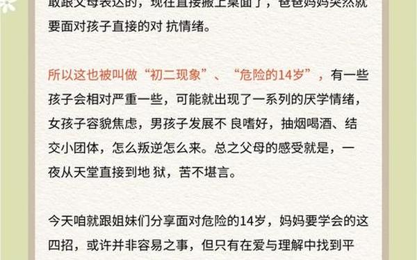 叛逆儿子暴躁老妈的解决方法-叛逆期母亲管不了儿子怎么办