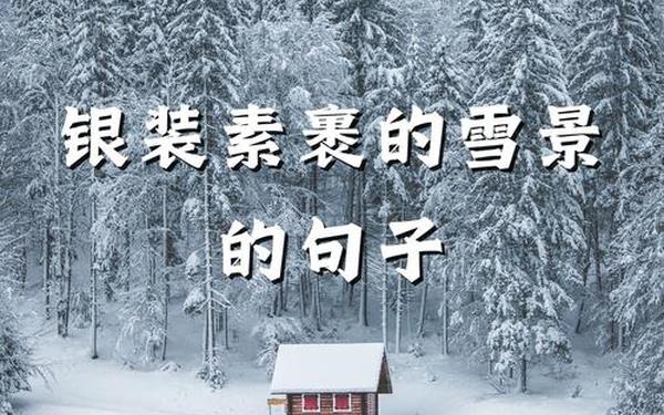 下雪的心情的经典句子(雪景心情短句)