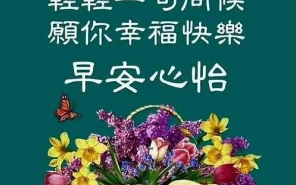 关心的短信-日常关心问候语短信大全