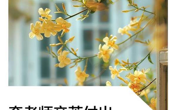 赞美老师辛苦付出的话10字左右;赞美老师辛苦付出的诗句
