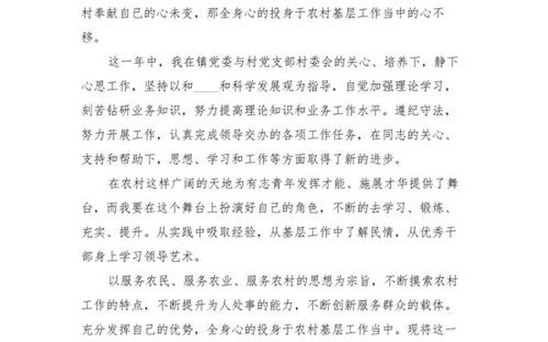 村委会工作总结 2024年度工作总结