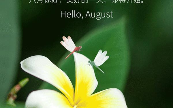 8月你好的句子、八月你好的说说 心情短语